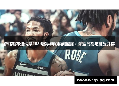 萨格勒布迪纳摩2024赛季精彩瞬间回顾:荣耀时刻与挑战并存 萨格勒布迪纳摩2024赛季精彩瞬间回顾:荣耀时刻与挑战并存