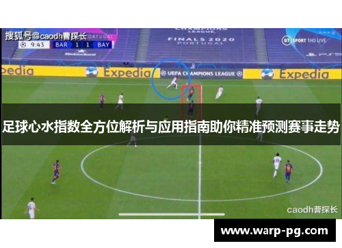 足球心水指数全方位解析与应用指南助你精准预测赛事走势