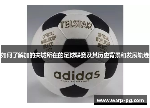 如何了解加的夫城所在的足球联赛及其历史背景和发展轨迹 如何了解加的夫城所在的足球联赛及其历史背景和发展轨迹