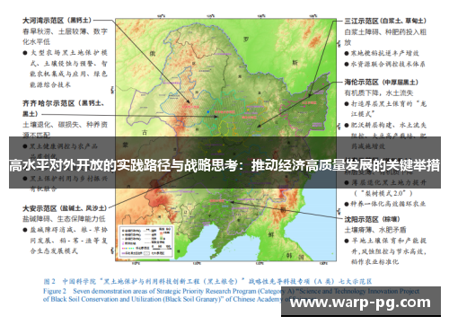 高水平对外开放的实践路径与战略思考：推动经济高质量发展的关键举措