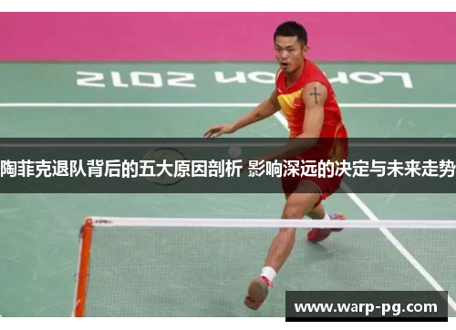 陶菲克退队背后的五大原因剖析 影响深远的决定与未来走势