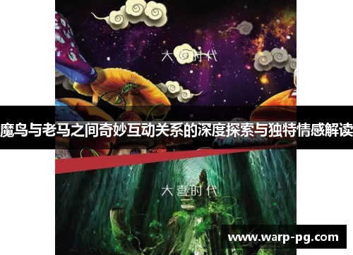魔鸟与老马之间奇妙互动关系的深度探索与独特情感解读