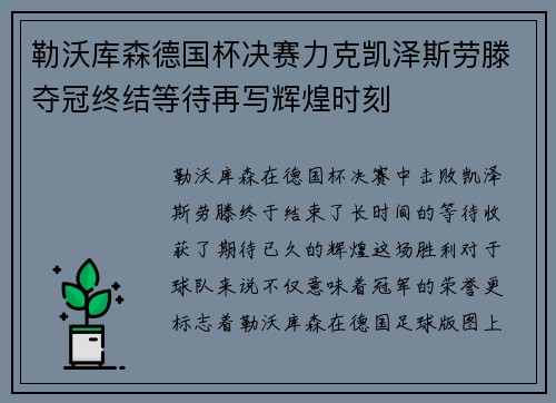 勒沃库森德国杯决赛力克凯泽斯劳滕夺冠终结等待再写辉煌时刻