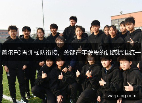 首尔FC青训梯队衔接,关键在年龄段的训练标准统一 首尔FC青训梯队衔接,关键在年龄段的训练标准统一